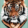 Bengal Tiger - Chart Only