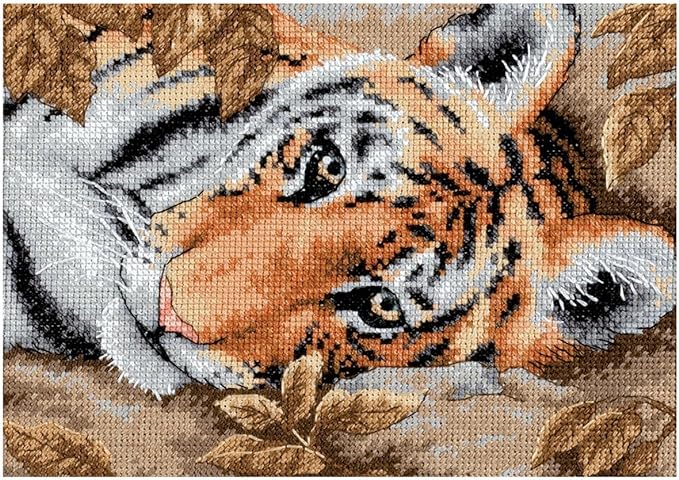 Home 6 DIMENSIONS BEGUILING TIGER