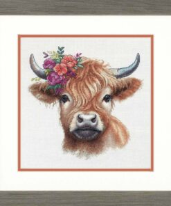 Highland Cow