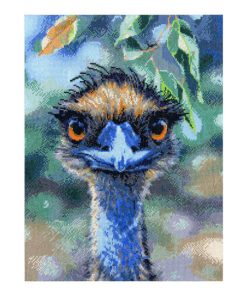 Birds Eye View - Emu