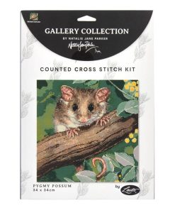 Pygmy Possum