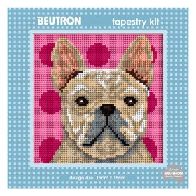 French Bulldog - 2 in stock